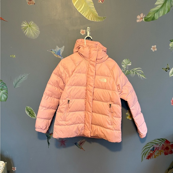 The North Face Gotham Jacket - Picture 1 of 8